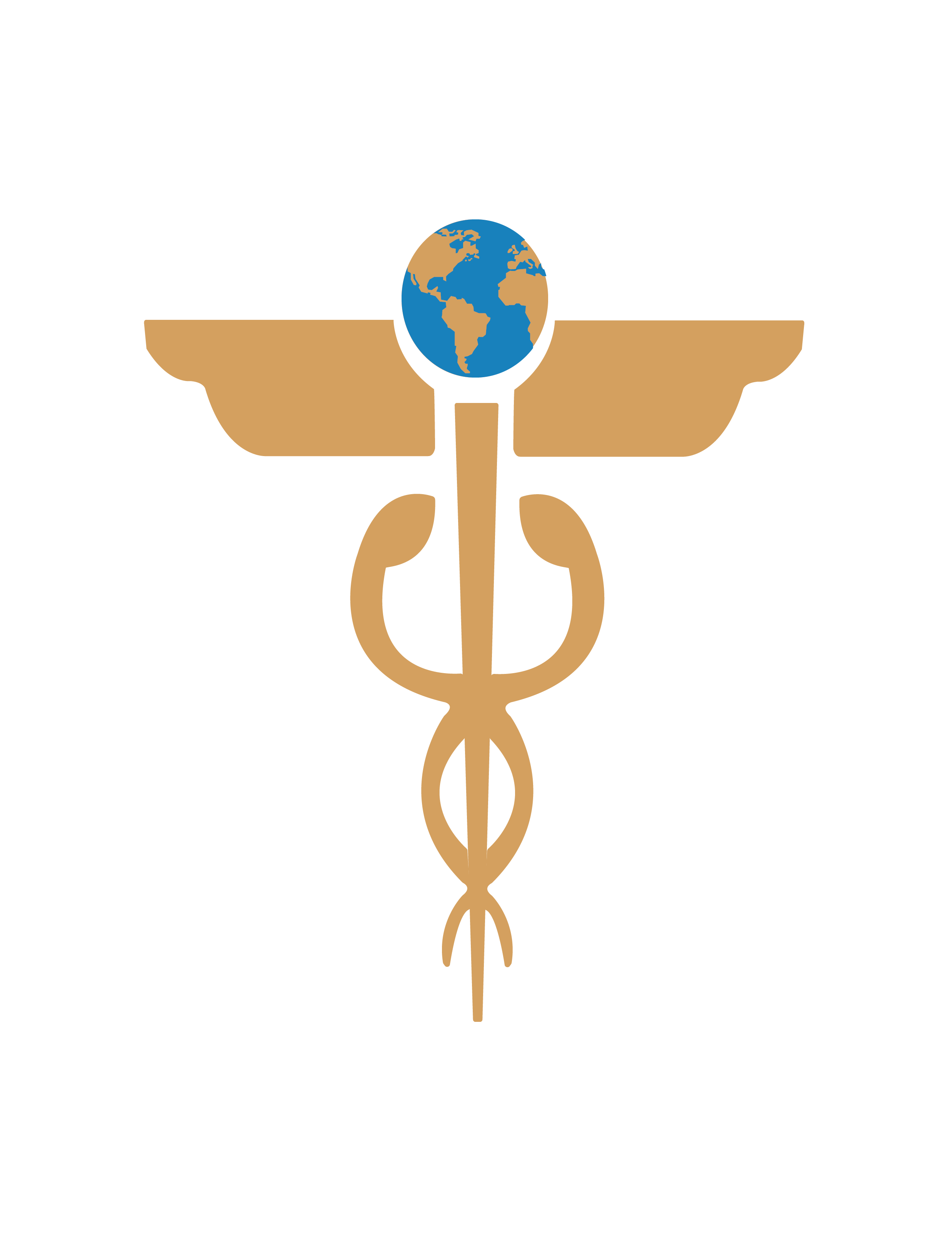 DICOSA S.A. logo